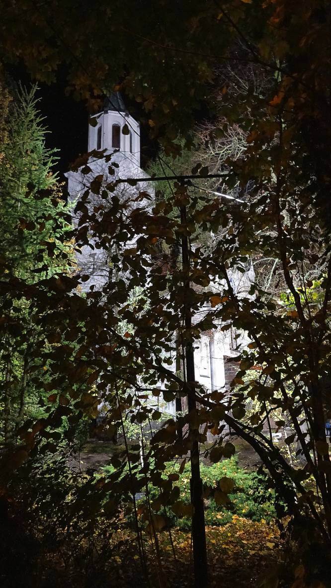 dzwonnica-z-zarośli