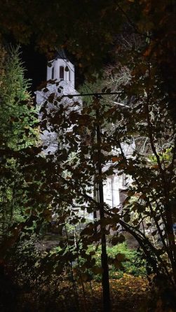 dzwonnica-z-zarośli